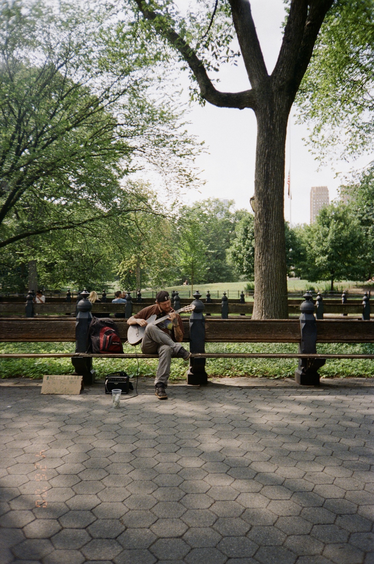 Musician in Central Park