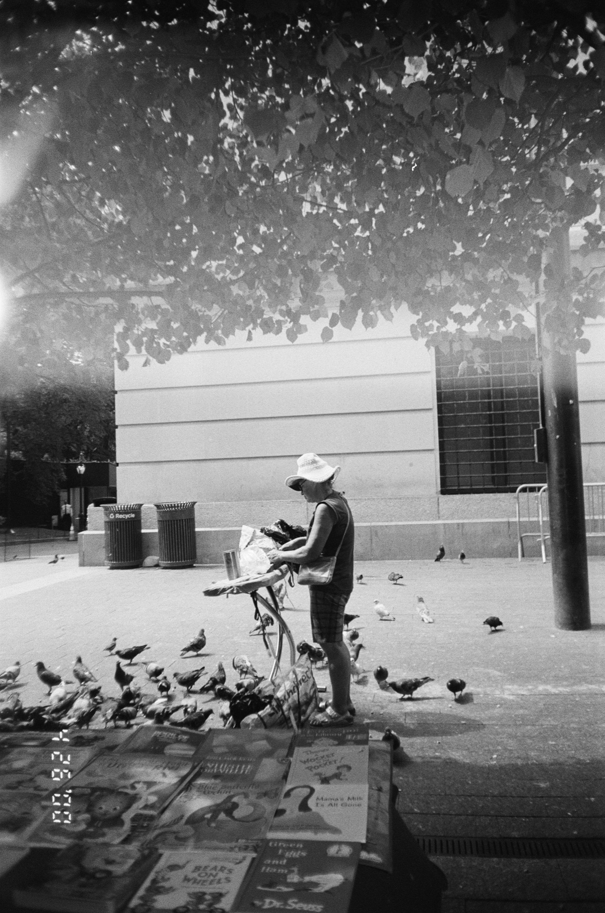 Street vendor and pigeons near the Met