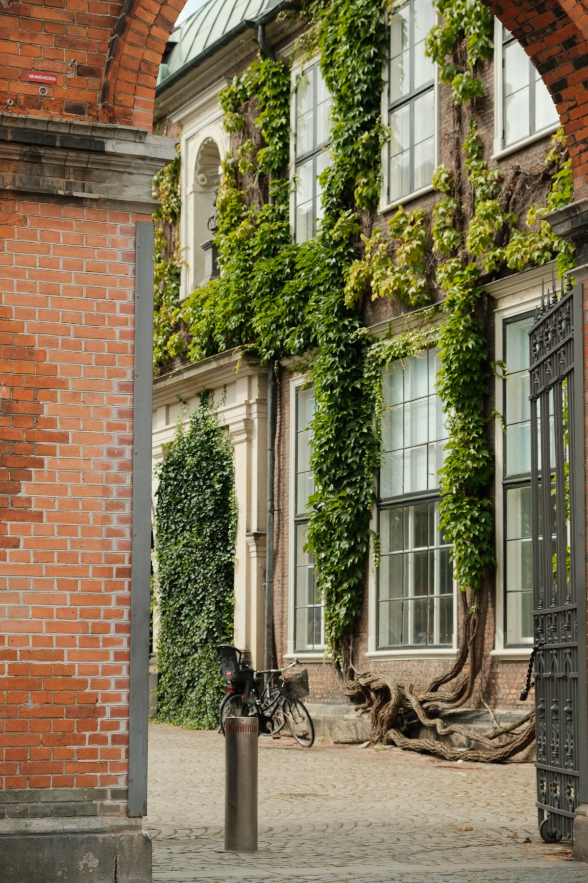 Ivy-covered building in Copenhagen